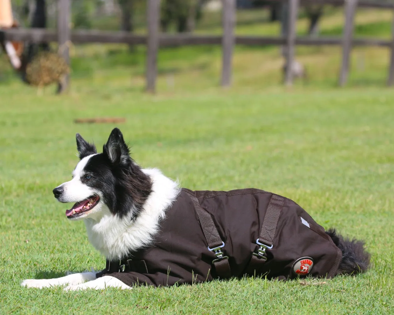 Thermo Master Oilskin Dog Coat