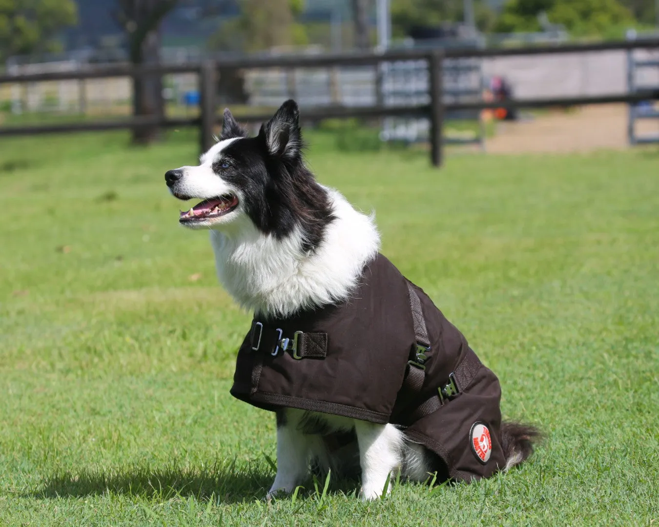 Thermo Master Oilskin Dog Coat