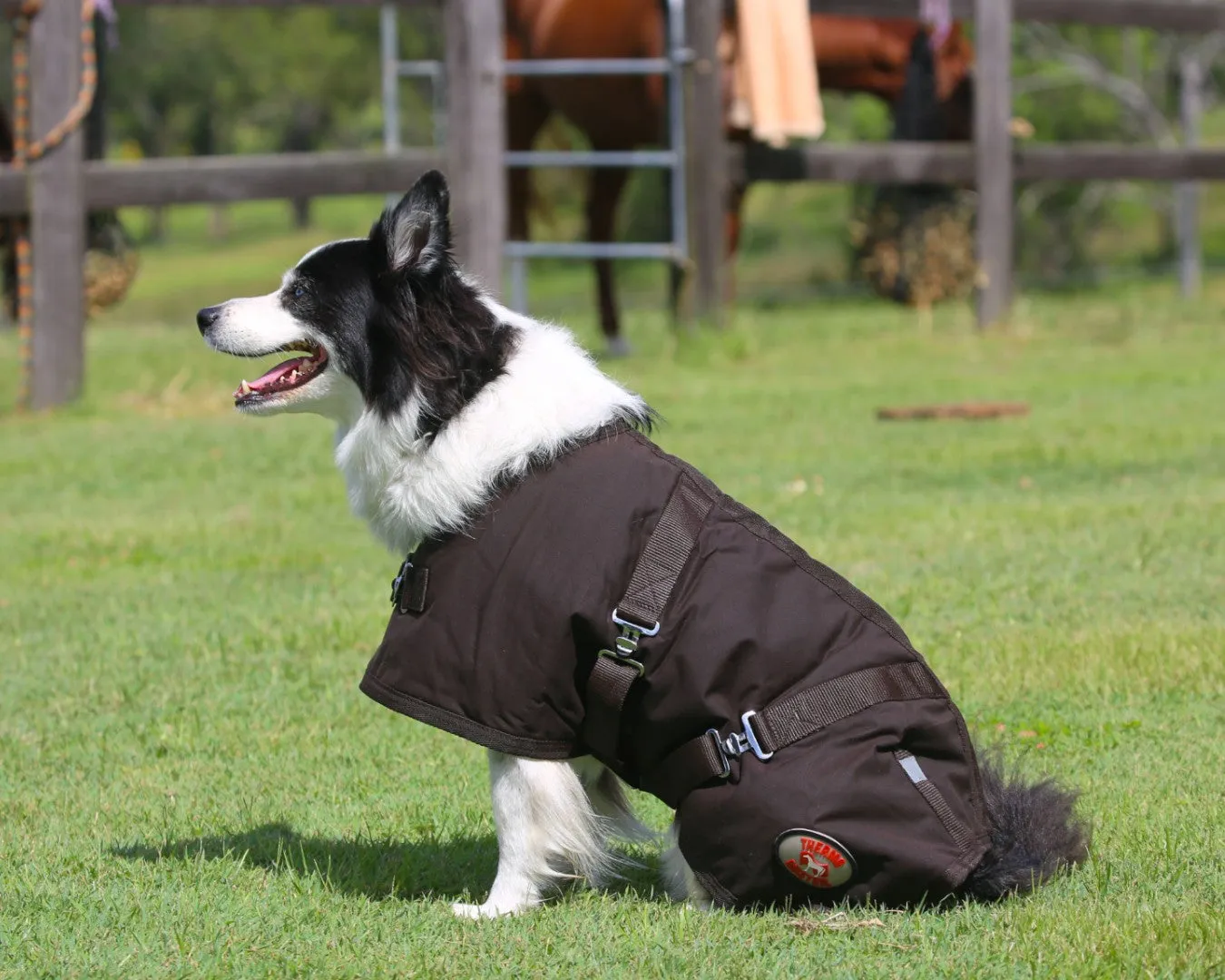 Thermo Master Oilskin Dog Coat